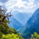 Samaria Gorge Excursion with Taxi Or mini Coach by Chania Transfer Services