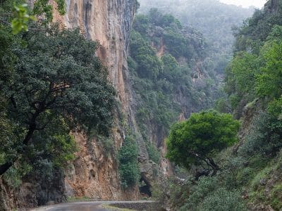 Therisso Gorge Excursion with Taxi Or mini Coach by Chania Transfer Services
